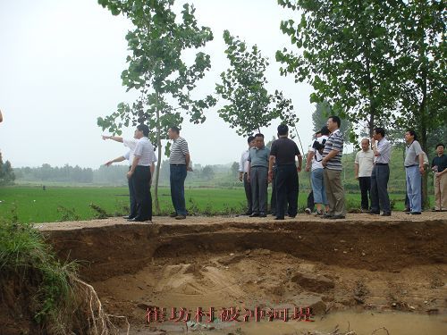 崔坊村(河南省南陽市臥龍區下轄村) 崔坊村(河南省南陽市臥龍區下轄村)