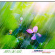 陽光雨(馮曦妤) 陽光雨(馮曦妤)