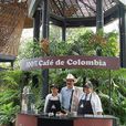 哥倫比亞咖啡(哥倫比亞咖啡文化)