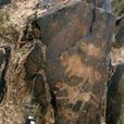 野牛溝岩畫 野牛溝岩畫