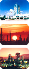 上海石油化工股份有限公司