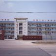新城國小(川沙鎮新城國小) 新城國小(川沙鎮新城國小)