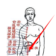 中注穴 中注穴