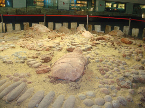 浙江東方地質博物館