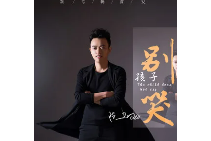 孩子別哭(陳衛雙演唱歌曲) 孩子別哭(陳衛雙演唱歌曲)