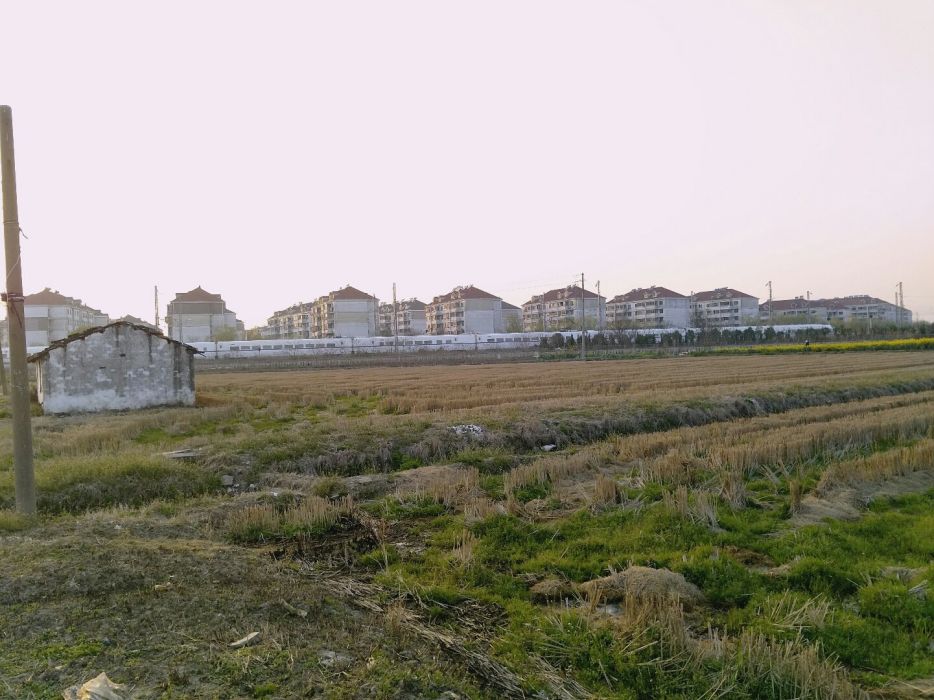 東高橋村 東高橋村