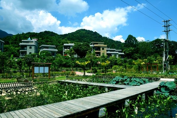 回珍村 回珍村
