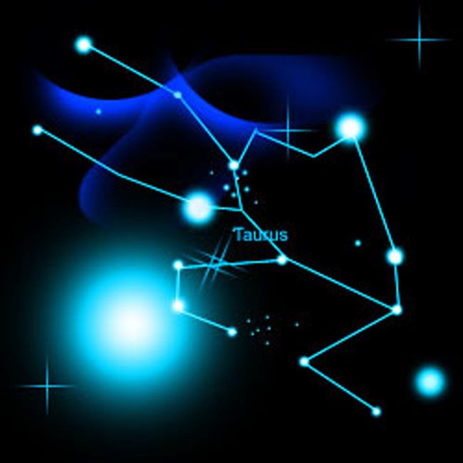 動物星座 動物星座