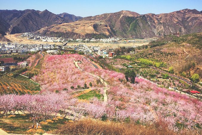 桃花谷(韶關市翁源縣李洞桃花谷) 桃花谷(韶關市翁源縣李洞桃花谷)