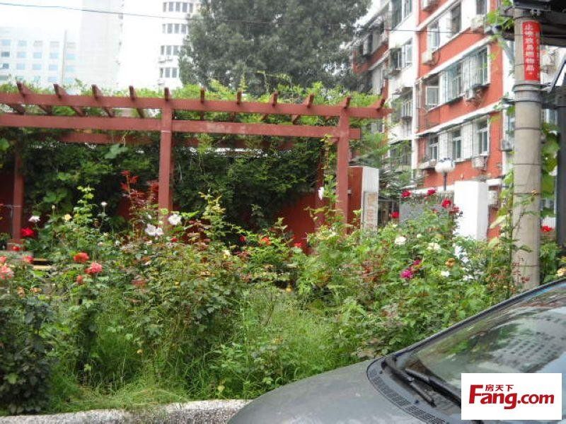 鐵西社區(北京市海淀區羊坊店街道下轄社區) 鐵西社區(北京市海淀區羊坊店街道下轄社區)