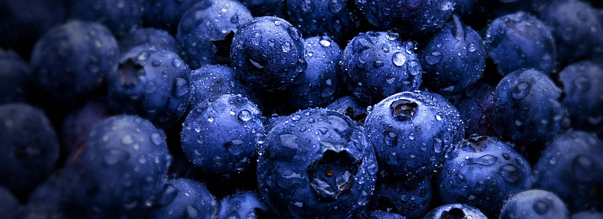 鄂倫春藍莓