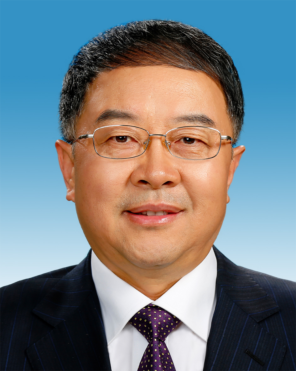 王敏(中國華能集團有限公司副總經理、黨組成員)