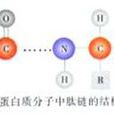 碳骨架 碳骨架