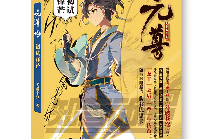 元尊2 元尊2