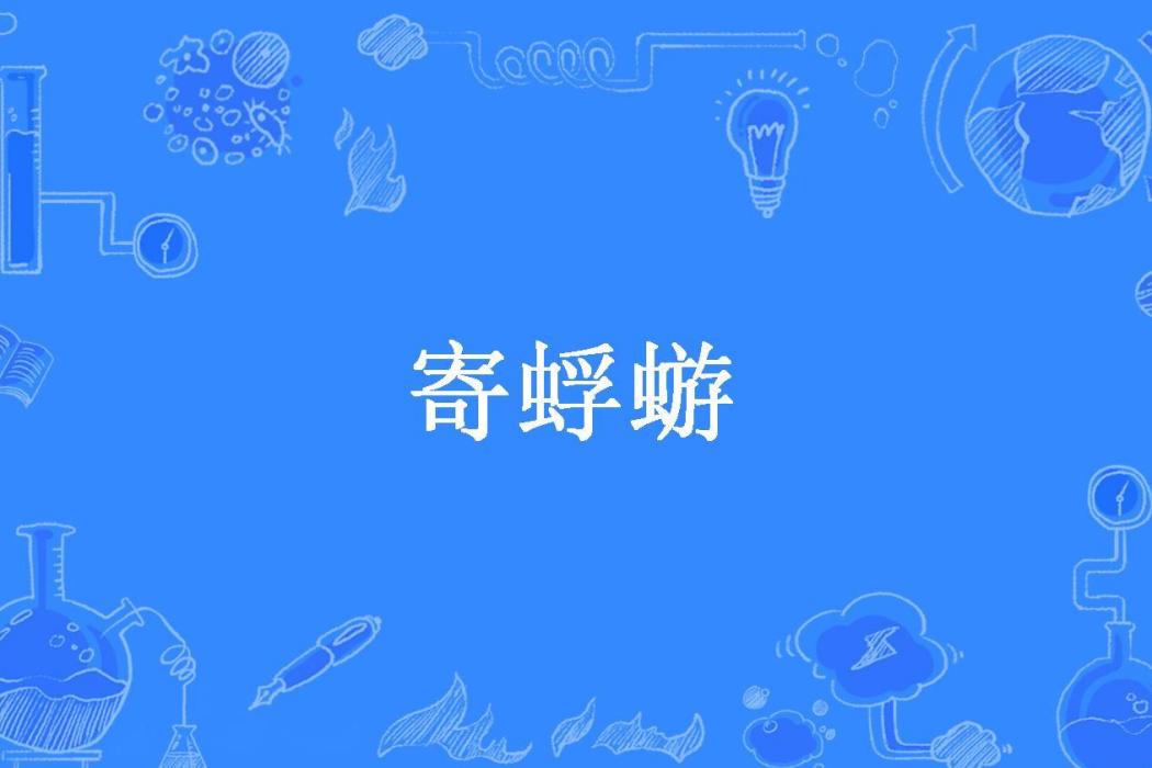 寄蜉蝣(太陽照常升起所著小說)