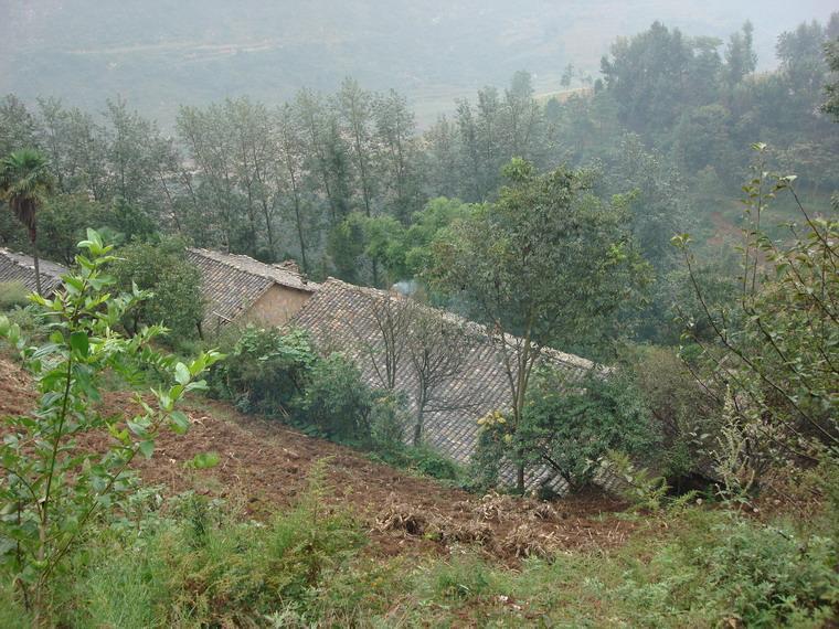 陶家墳村(北京市順義區仁和鎮下轄村) 陶家墳村(北京市順義區仁和鎮下轄村)