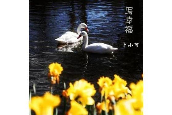 寫幸福 寫幸福
