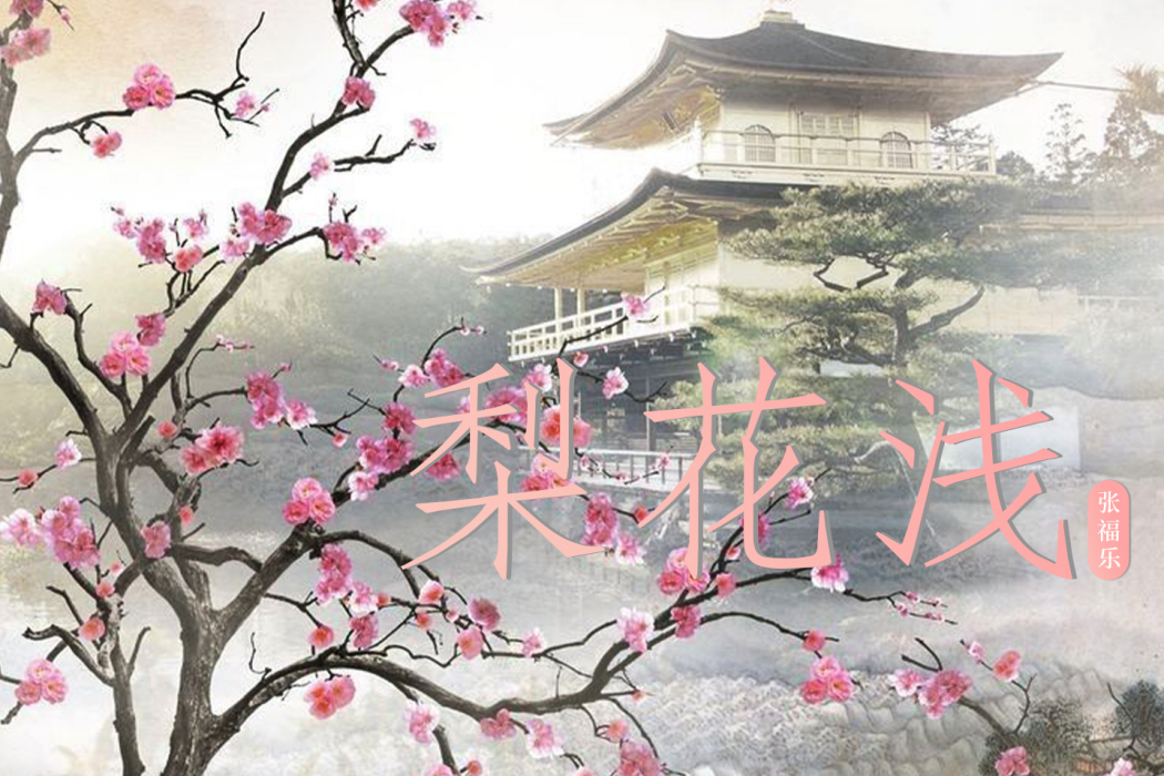 梨花淺 梨花淺