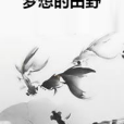 夢想的田野 夢想的田野