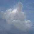 慈雲