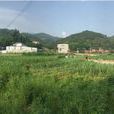 化蛟村 化蛟村