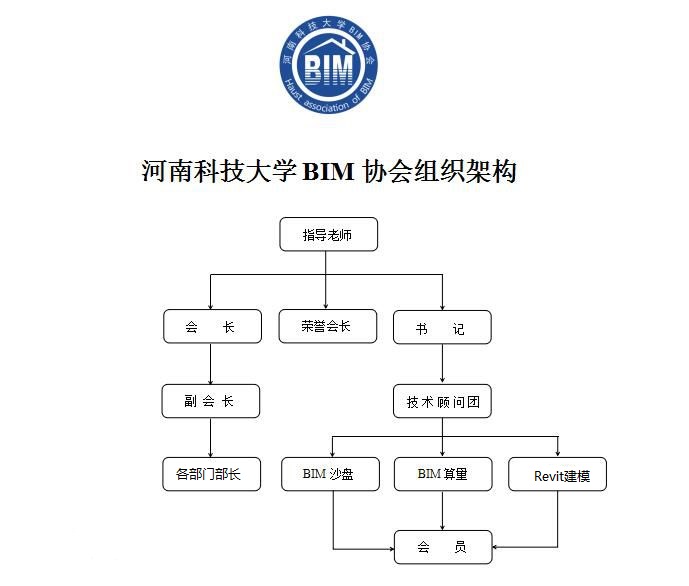 河南科技大學BIM協會組織架構