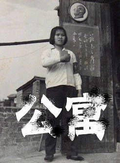 吳競(影視演員)