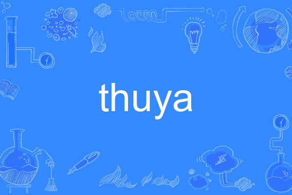 thuya thuya