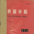 貴州齒裂菌 貴州齒裂菌