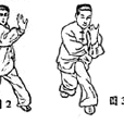 蝴蝶手