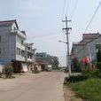 南塢村 南塢村