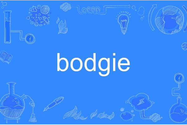 bodgie bodgie
