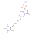 BIOTINSULFO-OSU BIOTINSULFO-OSU