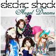 Eelectric Shock