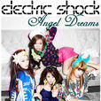 Eelectric Shock Eelectric Shock