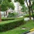 新豐花園(上海市的住宅小區)