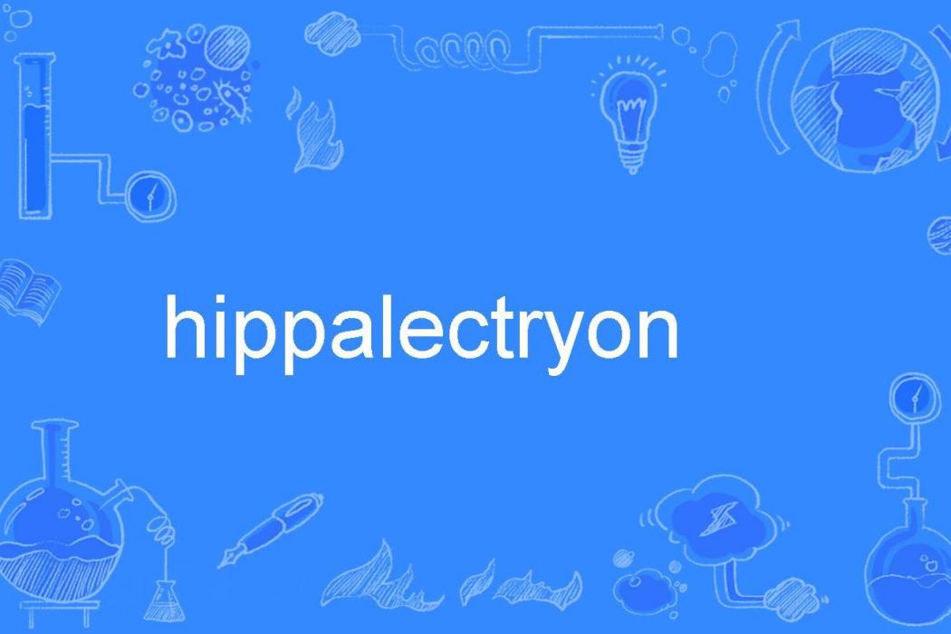 hippalectryon hippalectryon