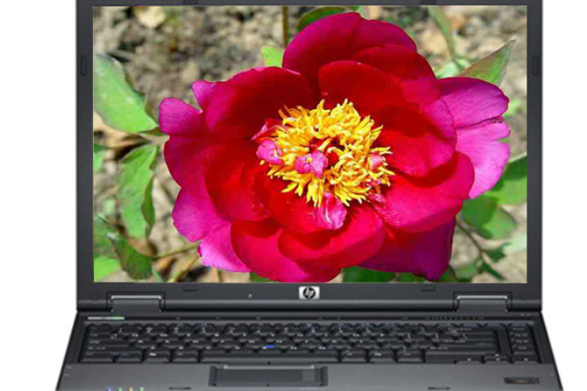 惠普Compaq 6910p(KL417PA) 惠普Compaq 6910p(KL417PA)