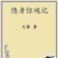 隱身驚魂記 隱身驚魂記