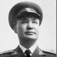 李平(大校) 李平(大校)