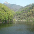 黃溪河(重慶黃溪河) 黃溪河(重慶黃溪河)