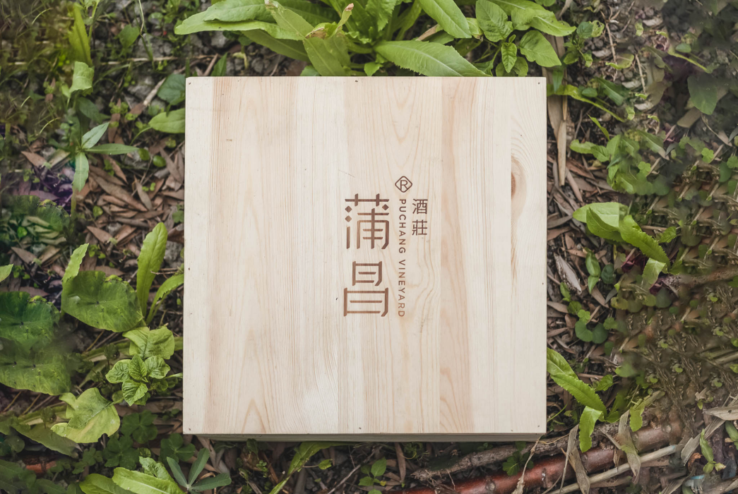蒲昌酒莊 蒲昌酒莊