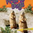 Let\x27s Look at Prairie Dogs Let\x27s Look at Prairie Dogs