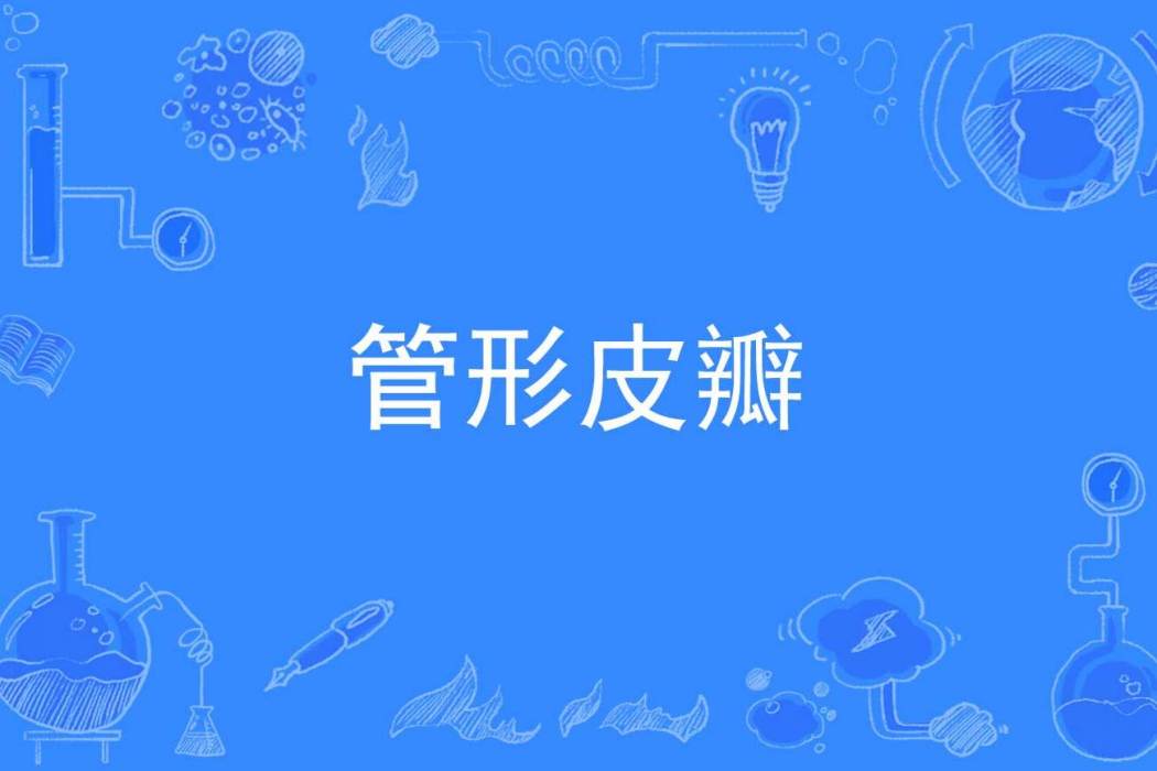 管形皮瓣 管形皮瓣