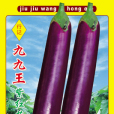 九九王 九九王