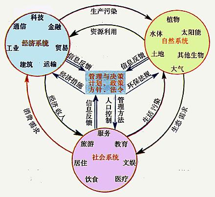 城市生態系統