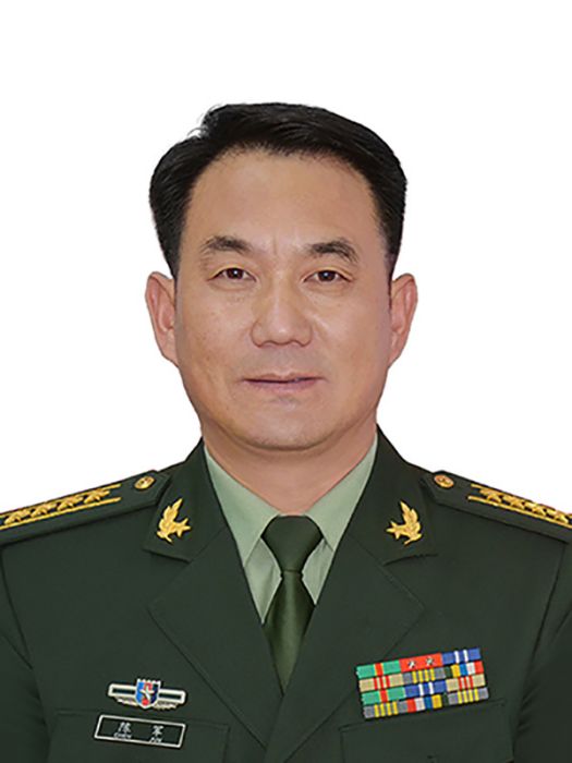 陳軍(貴州省第十四屆人大代表，貴州省都勻軍分區大校司令員)