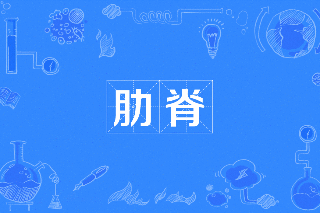 肋脊