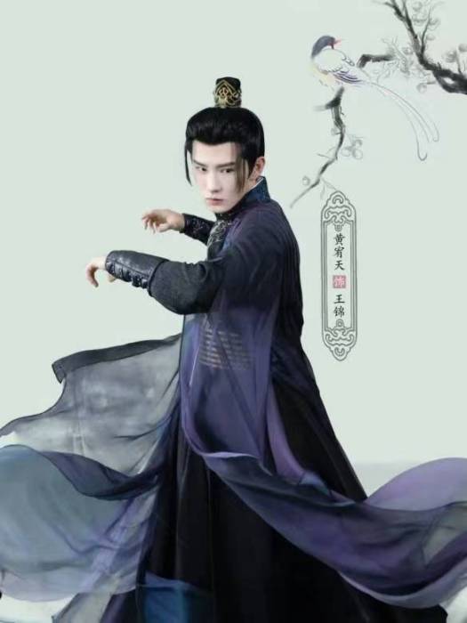 王錦(古裝甜寵網劇《將軍的農家妻》中的角色) 王錦(古裝甜寵網劇《將軍的農家妻》中的角色)