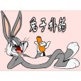 兔子補藥 兔子補藥